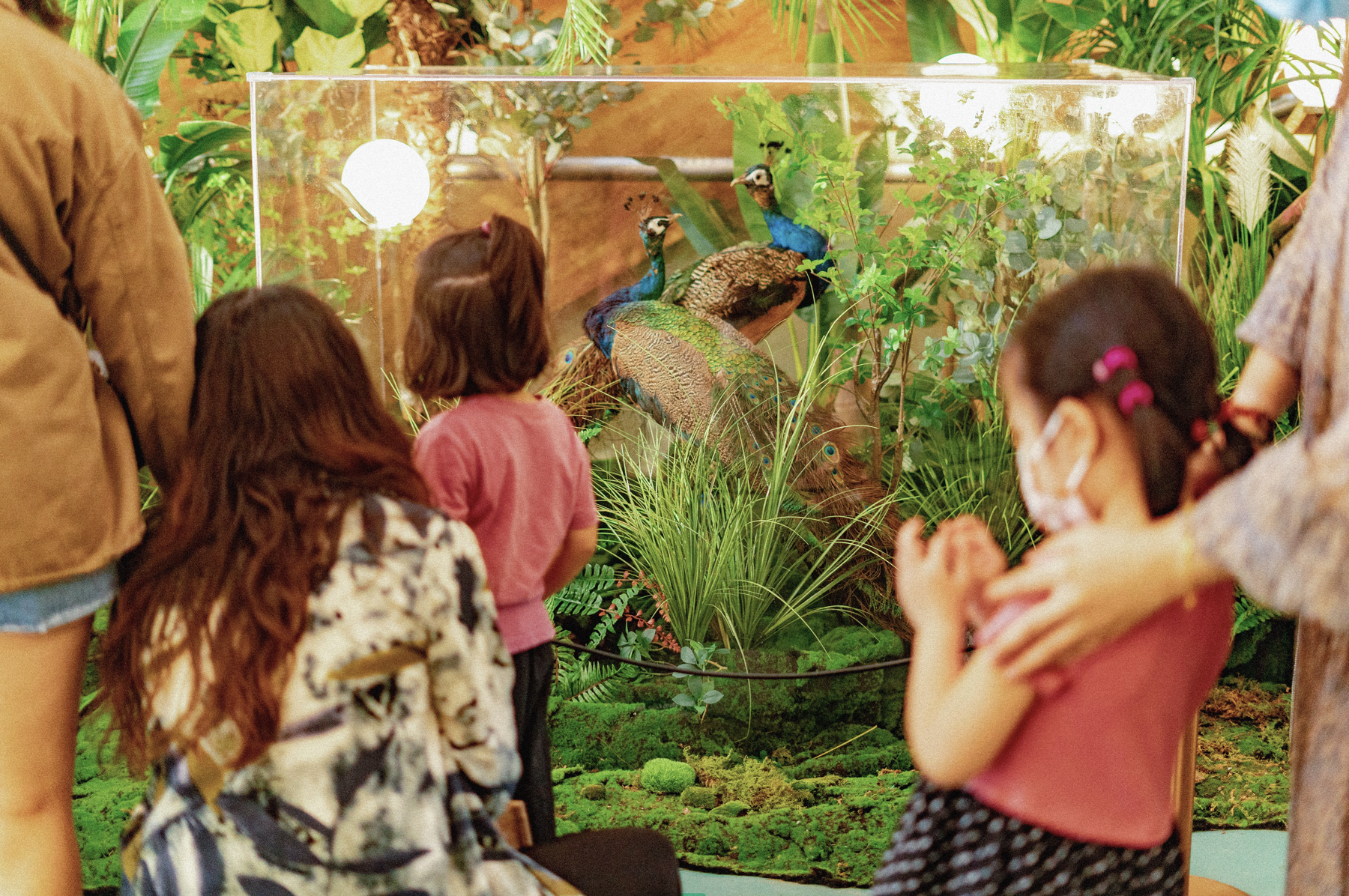 WX20220401-134145@2x.png WX20220401-134145@2x.png