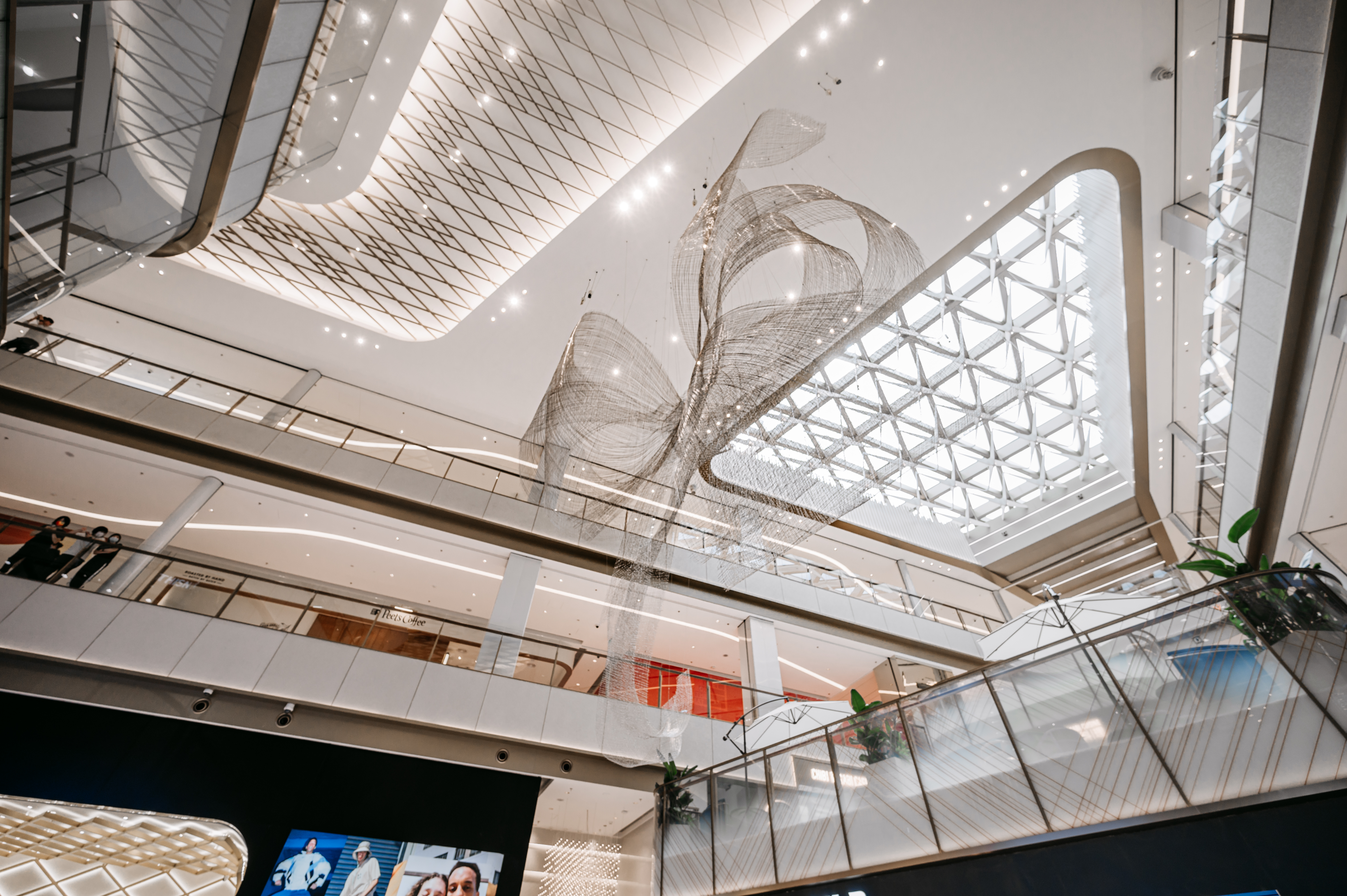 JUJUWANG 《不对称蝶变》.jpg JUJUWANG 《不对称蝶变》.jpg