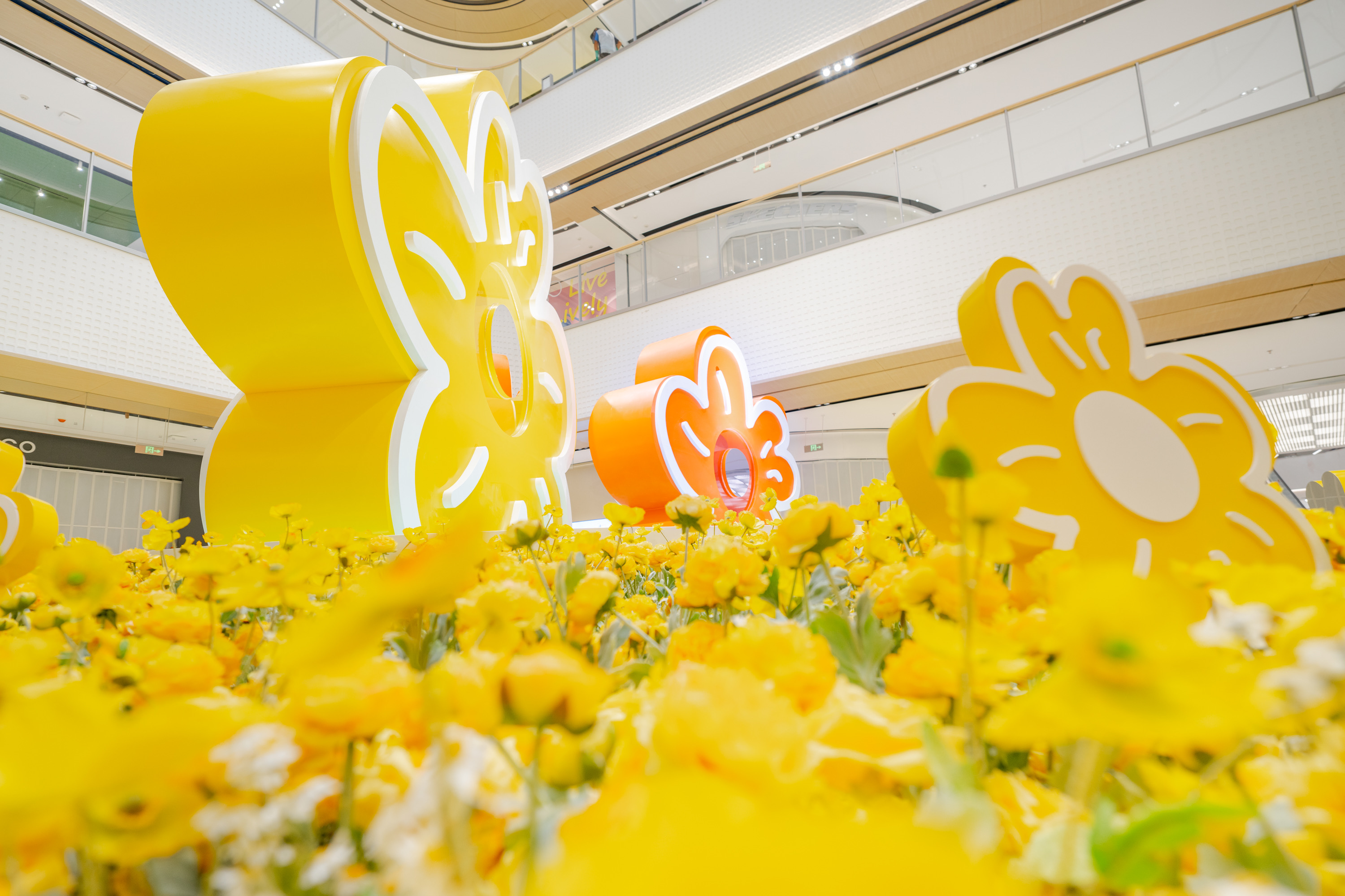 美陈.jpg 美陈.jpg